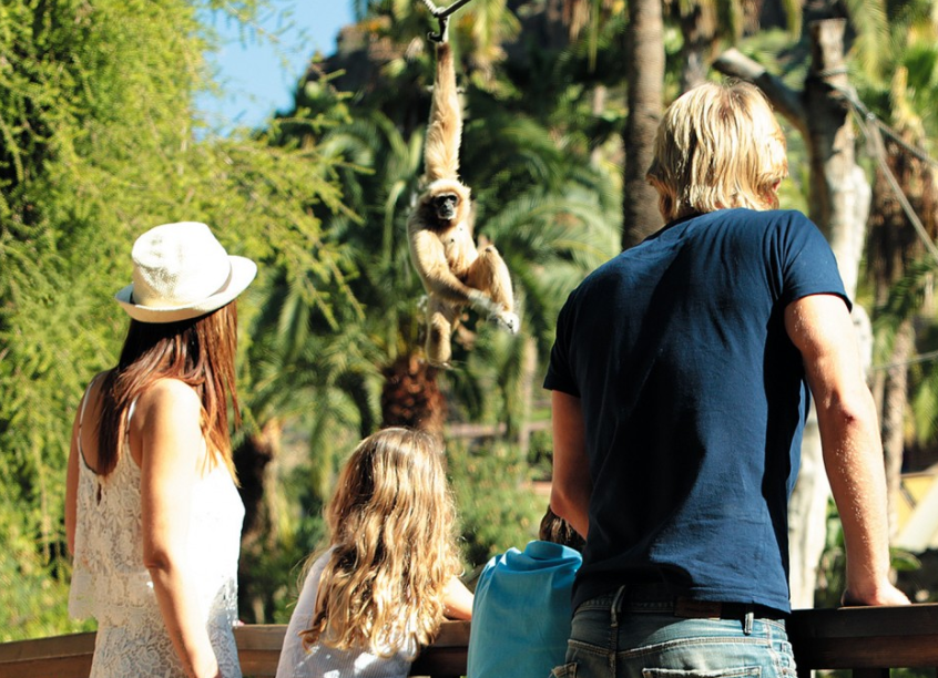 Palmitos Park